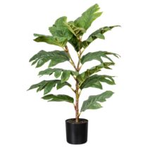 Umelá Rastlina Artocarpus I